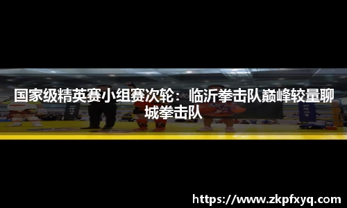 国家级精英赛小组赛次轮：临沂拳击队巅峰较量聊城拳击队